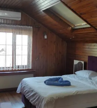 Villa Sapancaaynalivilla Sapanca